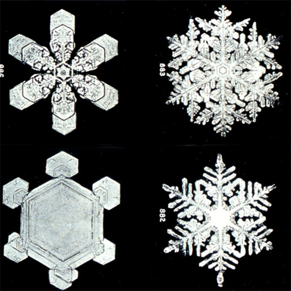 First microscope image of snowflake patterns